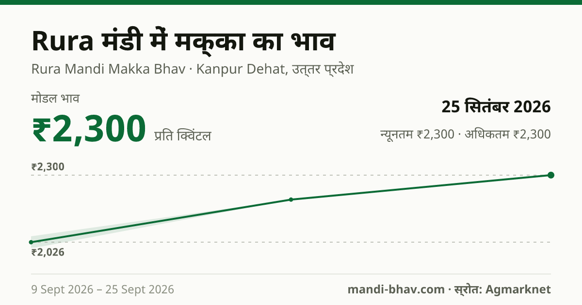 Rura मंडी में मक्का का भाव 25 सितंबर 2026: मोडल ₹2,300 प्रति क्विंटल, भाव के रुझान का चार्ट