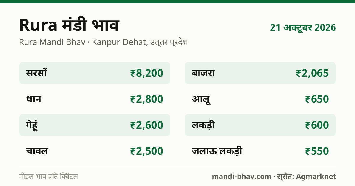 Rura मंडी भाव 21 अक्टूबर 2026: फसलवार मोडल रेट प्रति क्विंटल