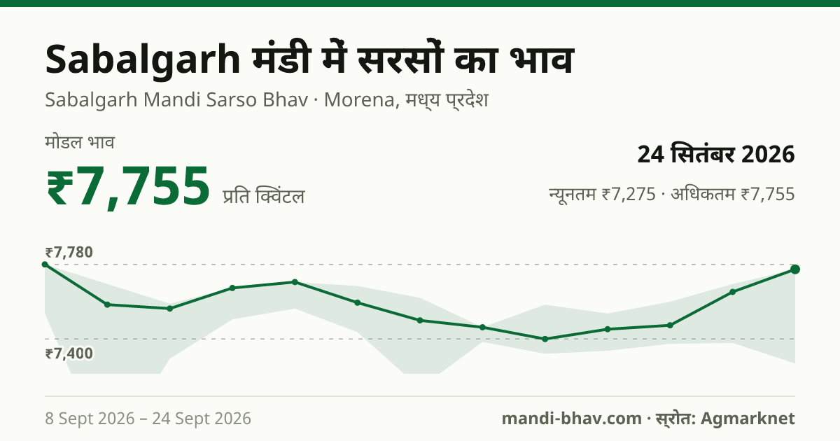 Sabalgarh मंडी में सरसों का भाव 24 सितंबर 2026: मोडल ₹7,755 प्रति क्विंटल, भाव के रुझान का चार्ट