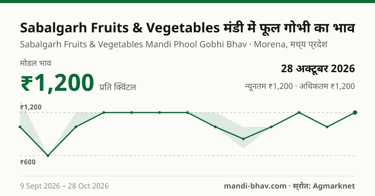 Sabalgarh Fruits & Vegetables मंडी में फूल गोभी का भाव 28 अक्टूबर 2026: मोडल ₹1,200 प्रति क्विंटल, भाव के रुझान का चार्ट
