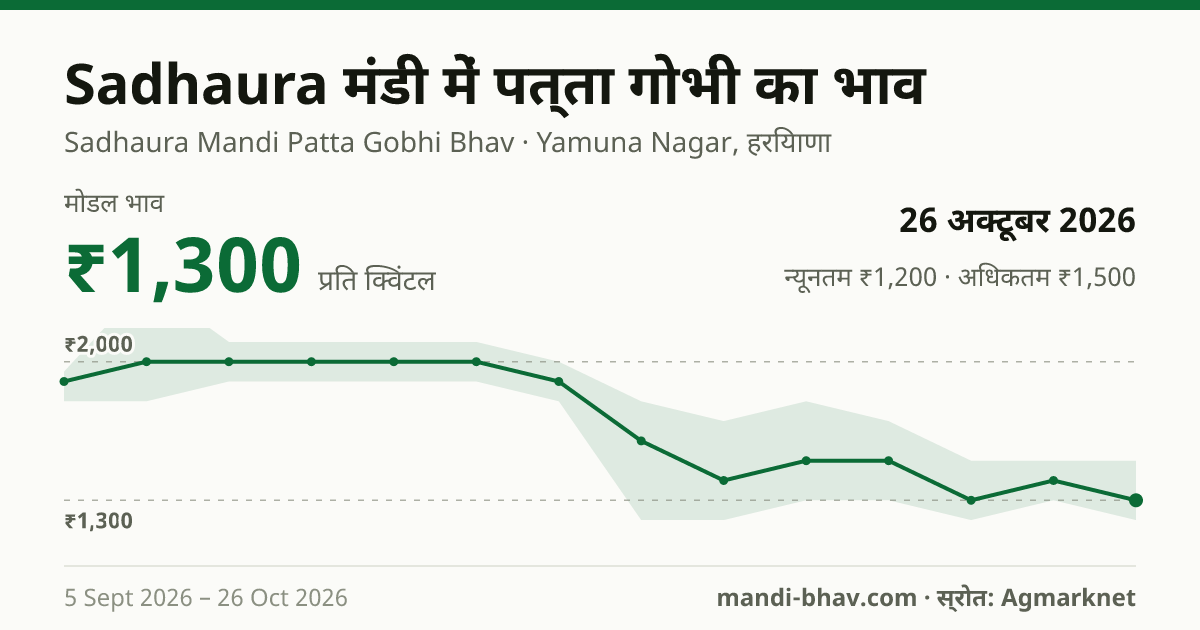 Sadhaura मंडी में पत्ता गोभी का भाव 26 अक्टूबर 2026: मोडल ₹1,300 प्रति क्विंटल, भाव के रुझान का चार्ट