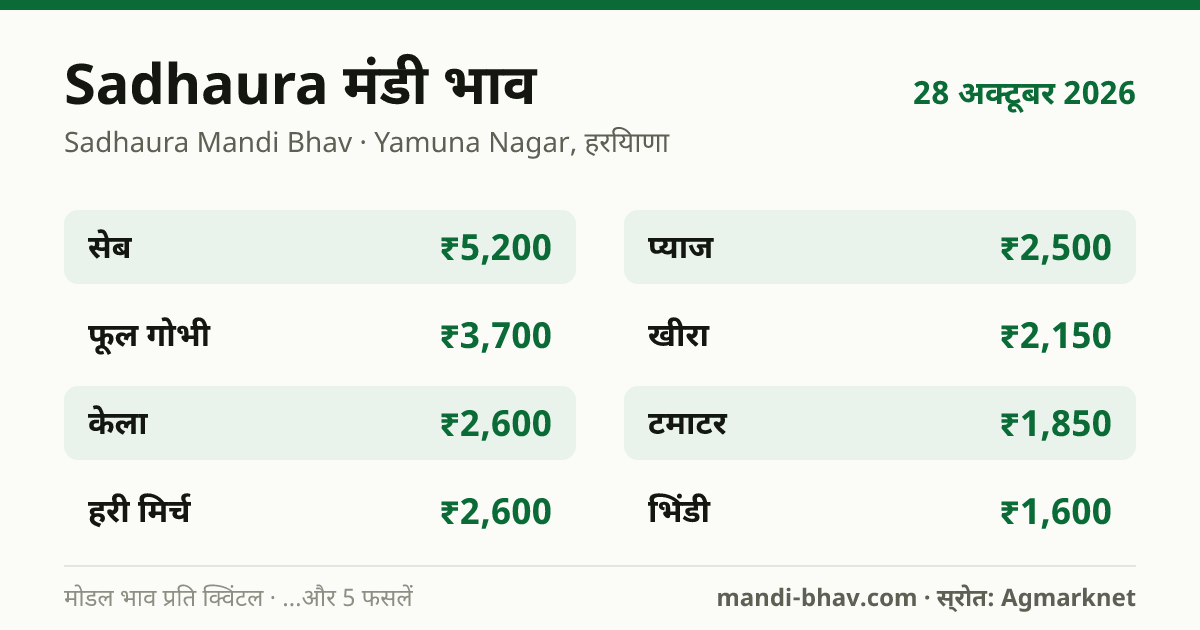 Sadhaura मंडी भाव 28 अक्टूबर 2026: फसलवार मोडल रेट प्रति क्विंटल