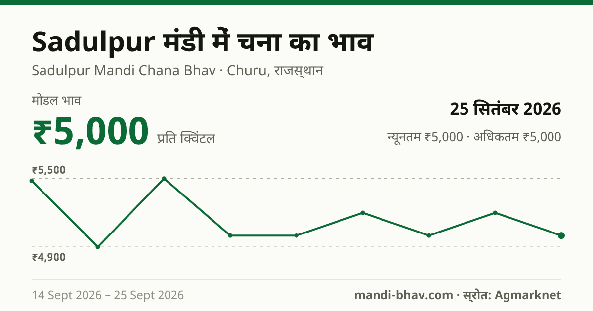 Sadulpur मंडी में चना का भाव 25 सितंबर 2026: मोडल ₹5,000 प्रति क्विंटल, भाव के रुझान का चार्ट