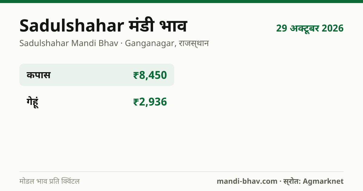 Sadulshahar मंडी भाव 29 अक्टूबर 2026: फसलवार मोडल रेट प्रति क्विंटल