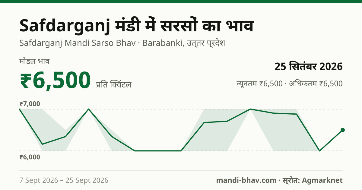 Safdarganj मंडी में सरसों का भाव 25 सितंबर 2026: मोडल ₹6,500 प्रति क्विंटल, भाव के रुझान का चार्ट
