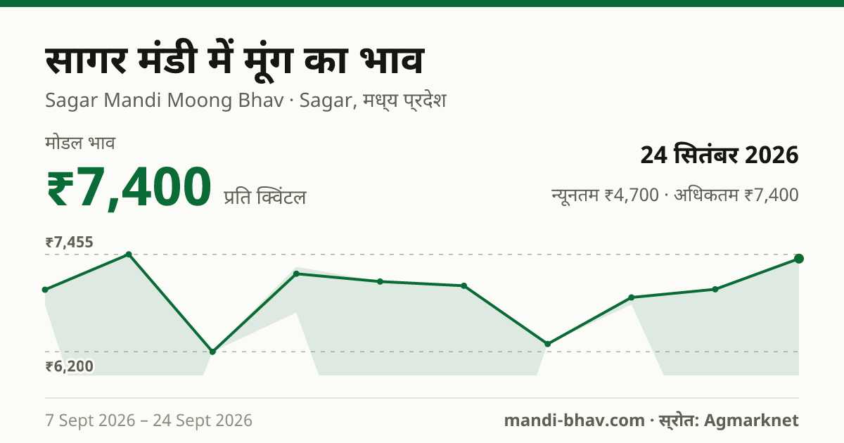 सागर मंडी में मूंग का भाव 24 सितंबर 2026: मोडल ₹7,400 प्रति क्विंटल, भाव के रुझान का चार्ट