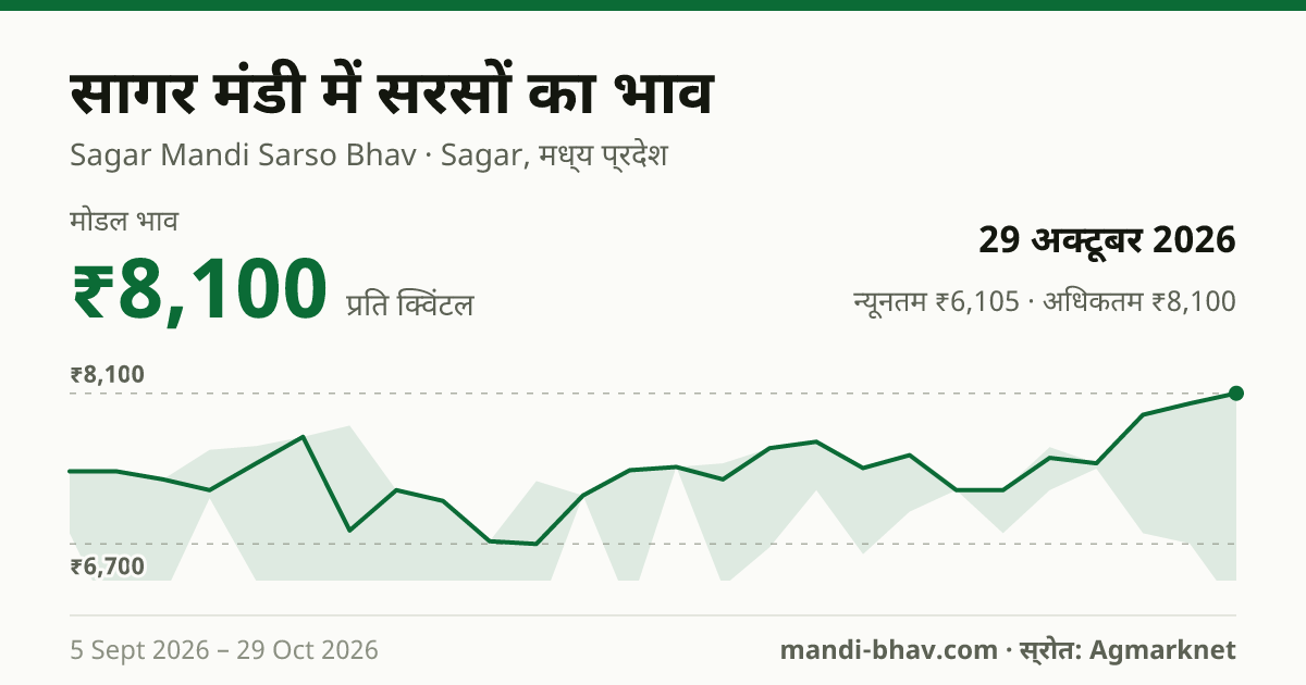 सागर मंडी में सरसों का भाव 29 अक्टूबर 2026: मोडल ₹8,100 प्रति क्विंटल, भाव के रुझान का चार्ट