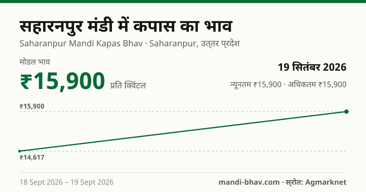 सहारनपुर मंडी में कपास का भाव 19 सितंबर 2026: मोडल ₹15,900 प्रति क्विंटल, भाव के रुझान का चार्ट