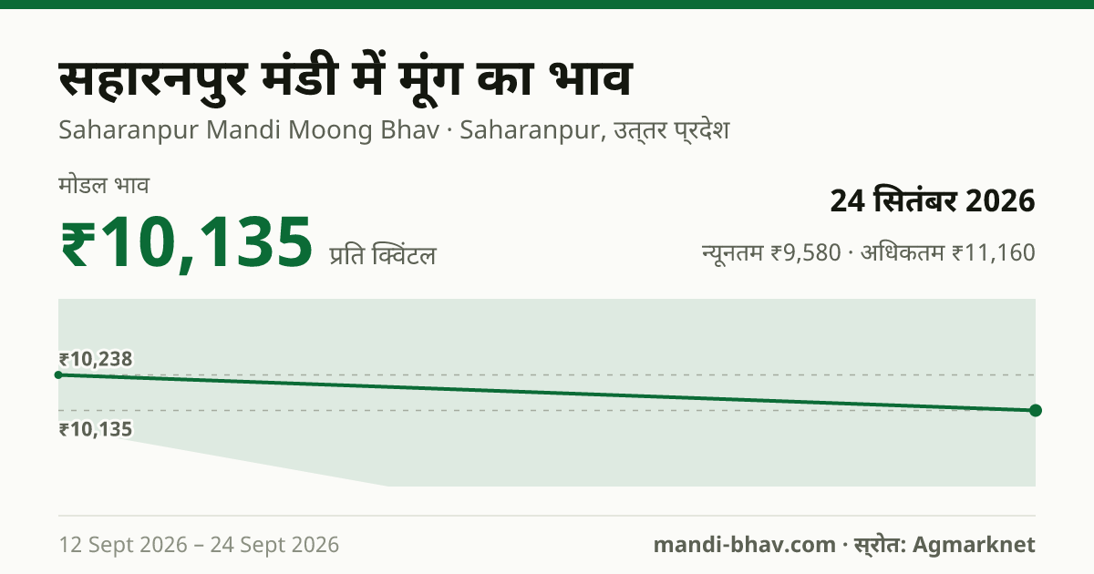 सहारनपुर मंडी में मूंग का भाव 24 सितंबर 2026: मोडल ₹10,135 प्रति क्विंटल, भाव के रुझान का चार्ट