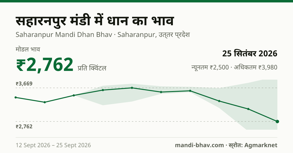 सहारनपुर मंडी में धान का भाव 25 सितंबर 2026: मोडल ₹2,762 प्रति क्विंटल, भाव के रुझान का चार्ट