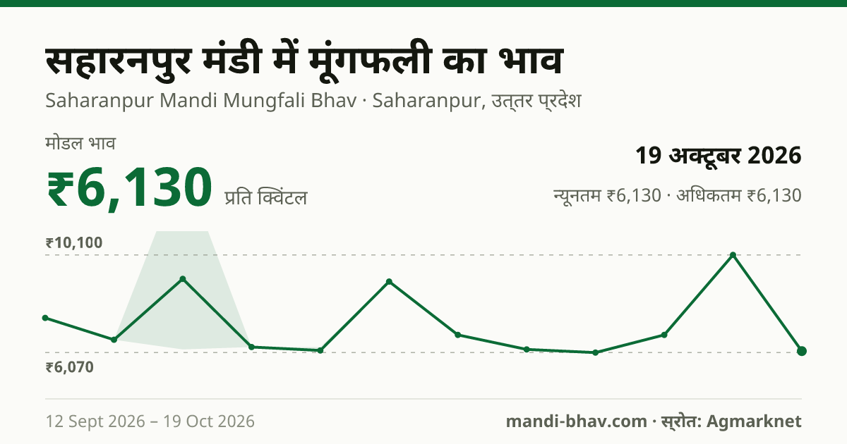 सहारनपुर मंडी में मूंगफली का भाव 19 अक्टूबर 2026: मोडल ₹6,130 प्रति क्विंटल, भाव के रुझान का चार्ट