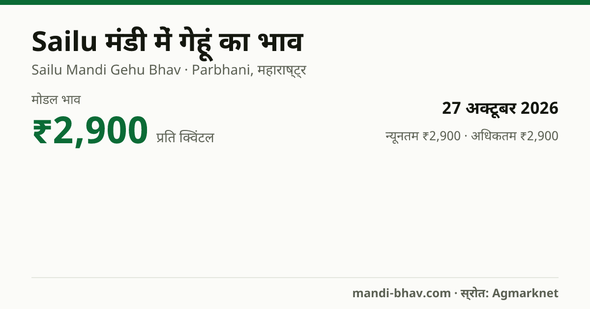 Sailu मंडी में गेहूं का भाव 27 अक्टूबर 2026: मोडल ₹2,900 प्रति क्विंटल, भाव के रुझान का चार्ट