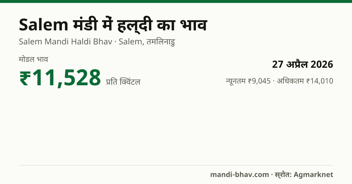 Salem मंडी में हल्दी का भाव 27 अप्रैल 2026: मोडल ₹11,528 प्रति क्विंटल, भाव के रुझान का चार्ट