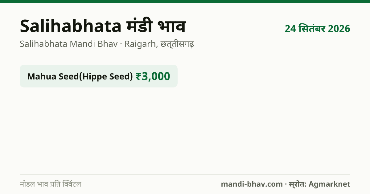 Salihabhata मंडी भाव 24 सितंबर 2026: फसलवार मोडल रेट प्रति क्विंटल