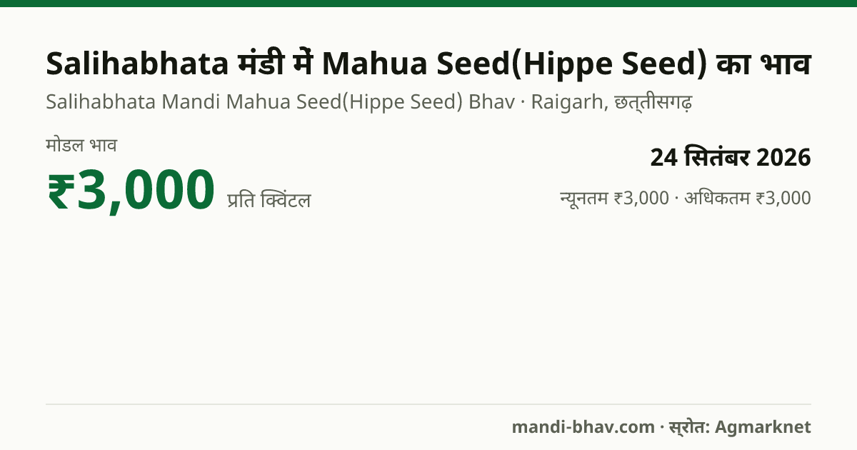 Salihabhata मंडी में Mahua Seed(Hippe Seed) का भाव 24 सितंबर 2026: मोडल ₹3,000 प्रति क्विंटल, भाव के रुझान का चार्ट