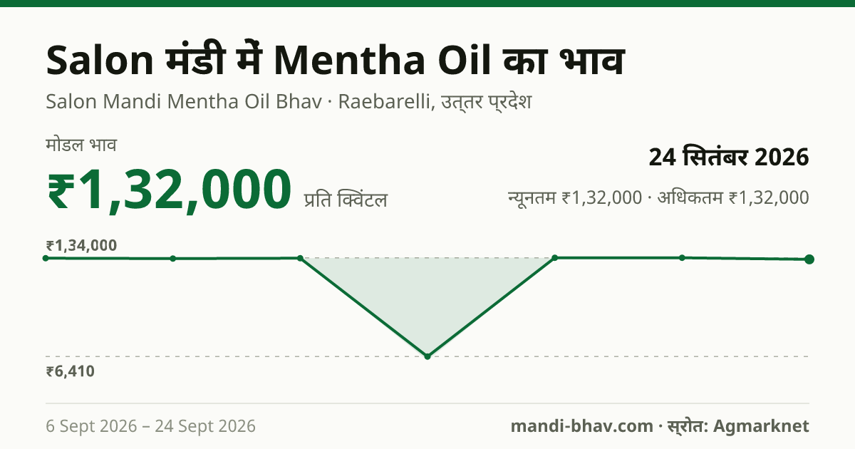 Salon मंडी में Mentha Oil का भाव 24 सितंबर 2026: मोडल ₹1,32,000 प्रति क्विंटल, भाव के रुझान का चार्ट