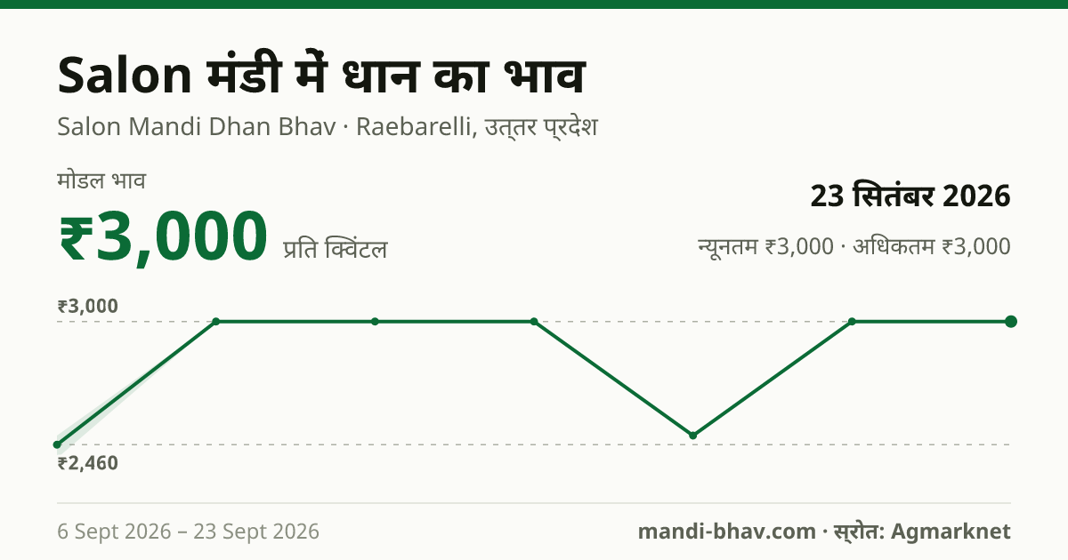 Salon मंडी में धान का भाव 23 सितंबर 2026: मोडल ₹3,000 प्रति क्विंटल, भाव के रुझान का चार्ट