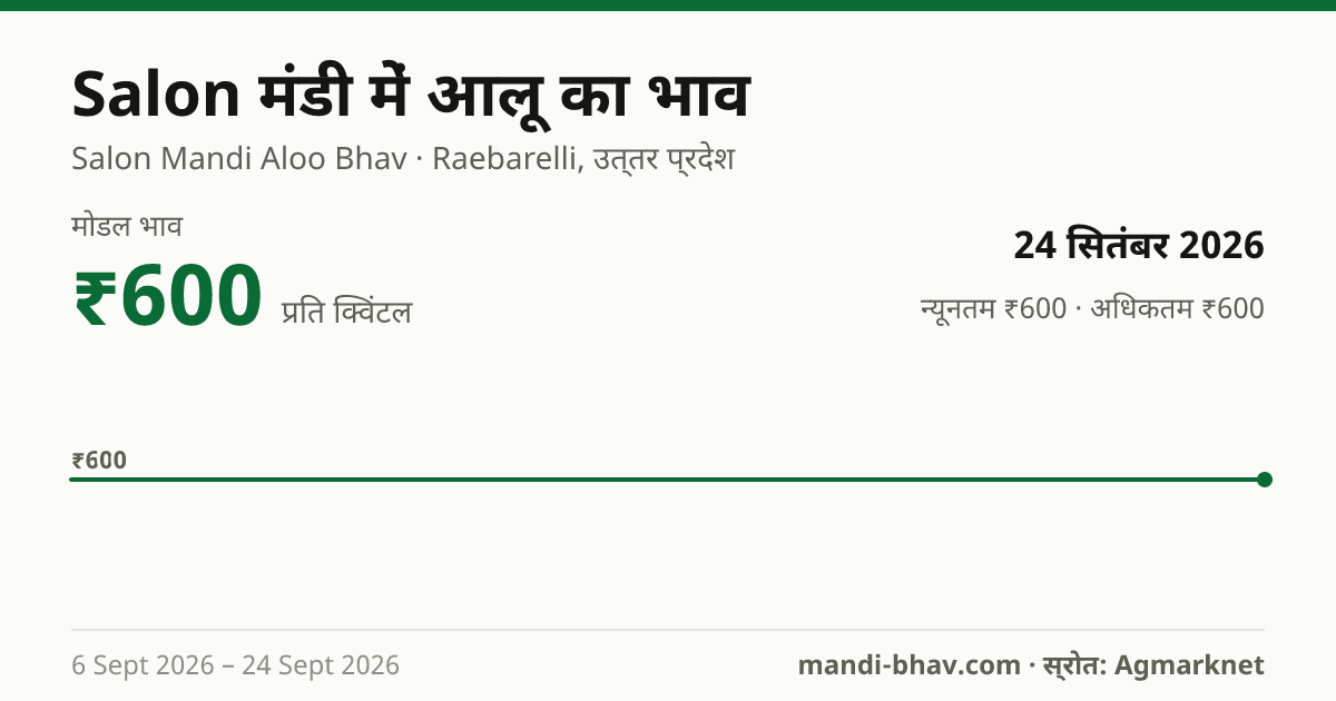Salon मंडी में आलू का भाव 24 सितंबर 2026: मोडल ₹600 प्रति क्विंटल, भाव के रुझान का चार्ट