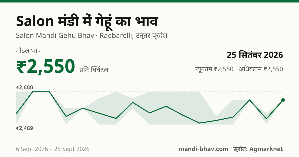 Salon मंडी में गेहूं का भाव 25 सितंबर 2026: मोडल ₹2,550 प्रति क्विंटल, भाव के रुझान का चार्ट
