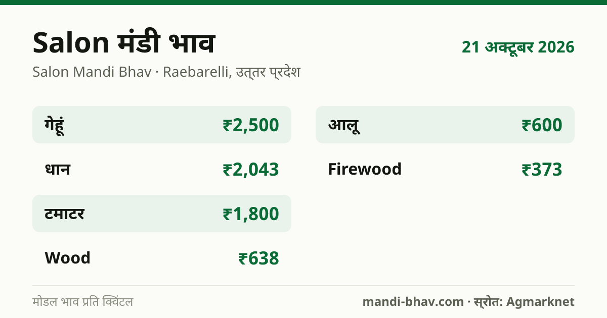 Salon मंडी भाव 21 अक्टूबर 2026: फसलवार मोडल रेट प्रति क्विंटल