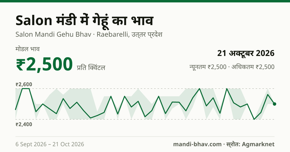 Salon मंडी में गेहूं का भाव 21 अक्टूबर 2026: मोडल ₹2,500 प्रति क्विंटल, भाव के रुझान का चार्ट