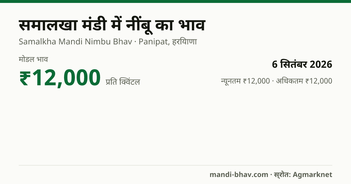 समालखा मंडी में नींबू का भाव 6 सितंबर 2026: मोडल ₹12,000 प्रति क्विंटल, भाव के रुझान का चार्ट
