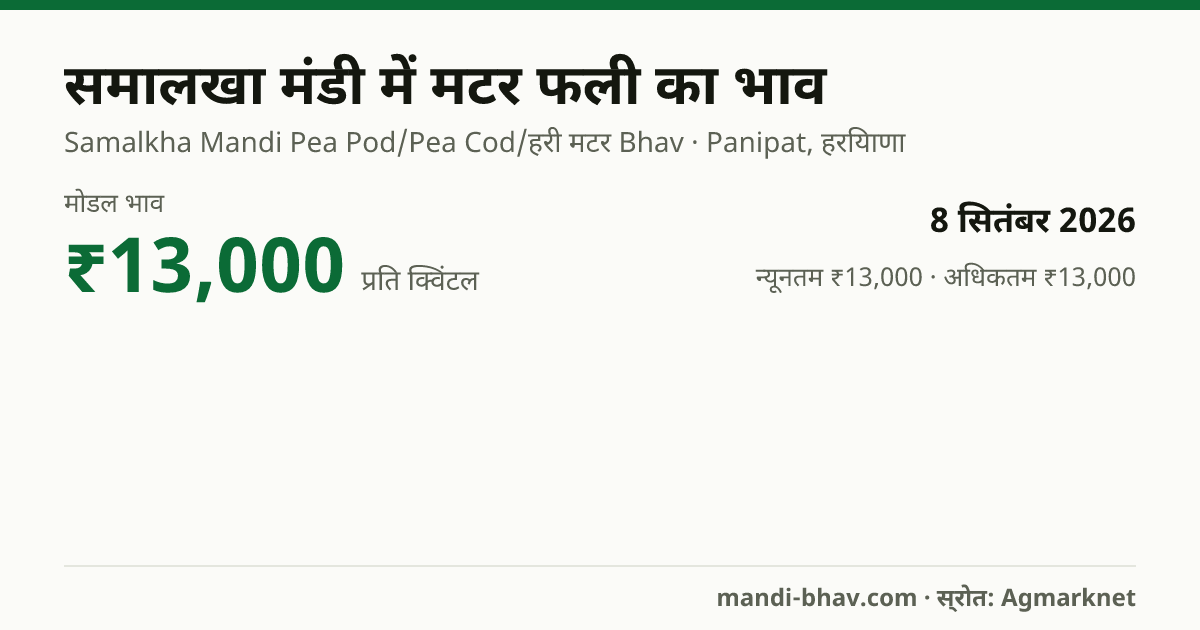 समालखा मंडी में मटर फली का भाव 8 सितंबर 2026: मोडल ₹13,000 प्रति क्विंटल, भाव के रुझान का चार्ट