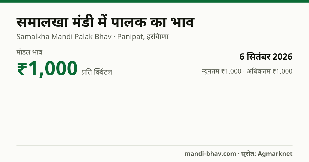 समालखा मंडी में पालक का भाव 6 सितंबर 2026: मोडल ₹1,000 प्रति क्विंटल, भाव के रुझान का चार्ट
