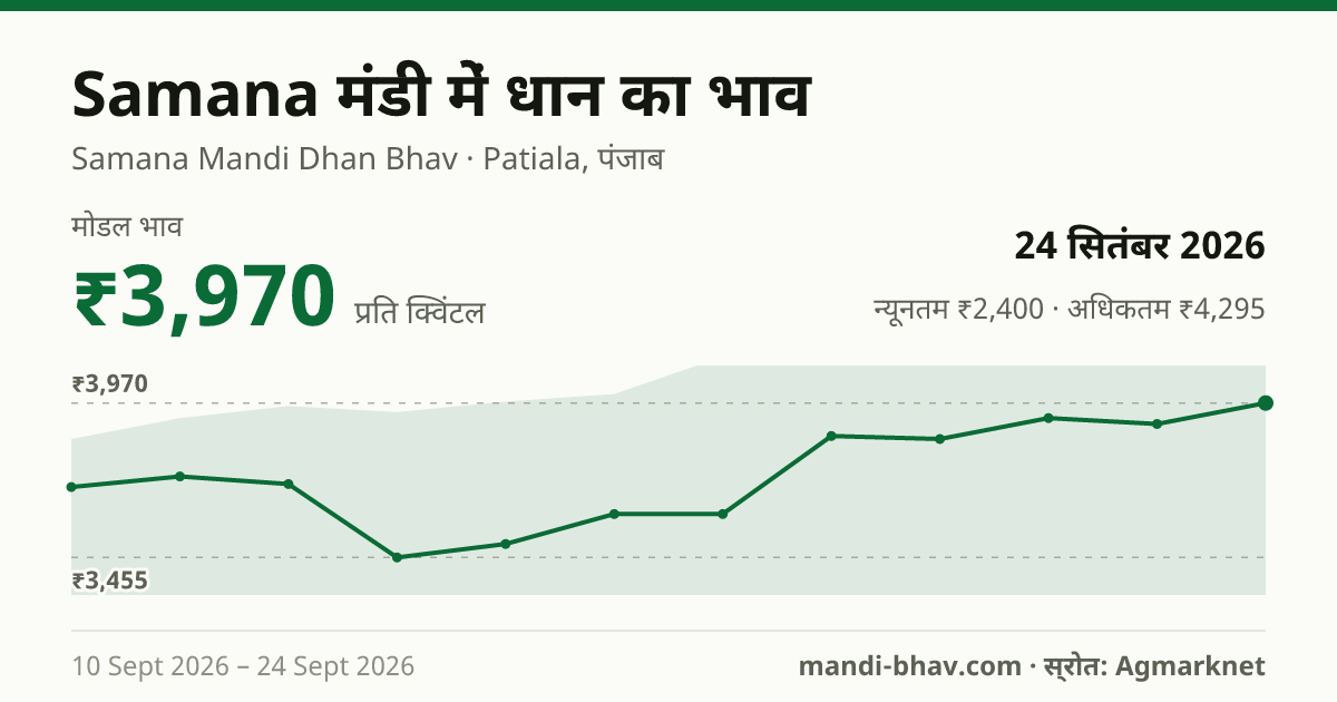 Samana मंडी में धान का भाव 24 सितंबर 2026: मोडल ₹3,970 प्रति क्विंटल, भाव के रुझान का चार्ट