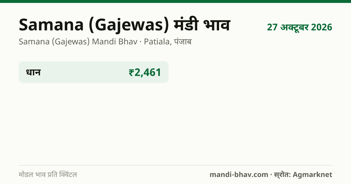 Samana (Gajewas) मंडी भाव 27 अक्टूबर 2026: फसलवार मोडल रेट प्रति क्विंटल
