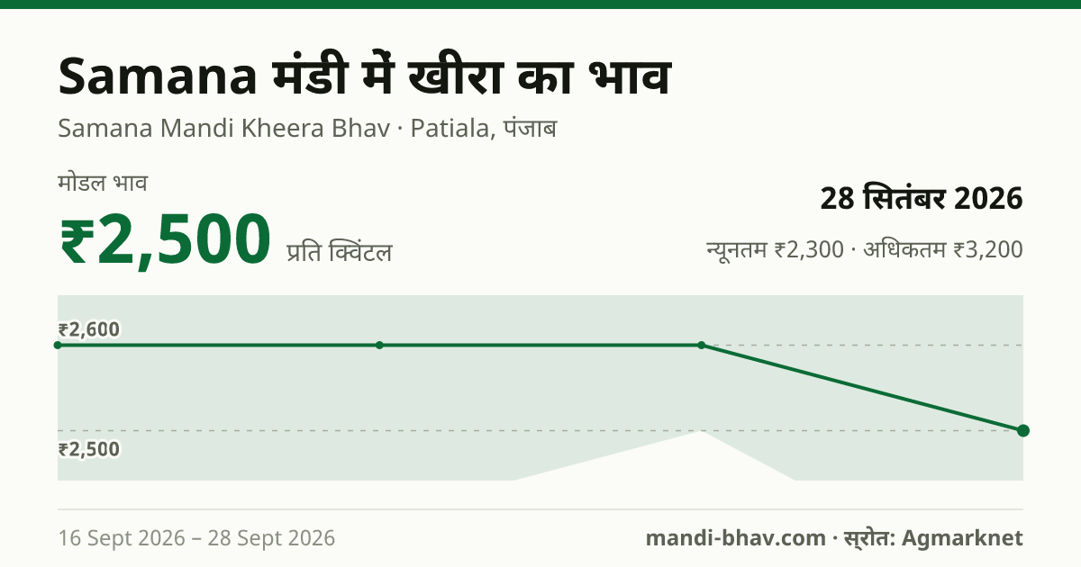 Samana मंडी में खीरा का भाव 28 सितंबर 2026: मोडल ₹2,500 प्रति क्विंटल, भाव के रुझान का चार्ट