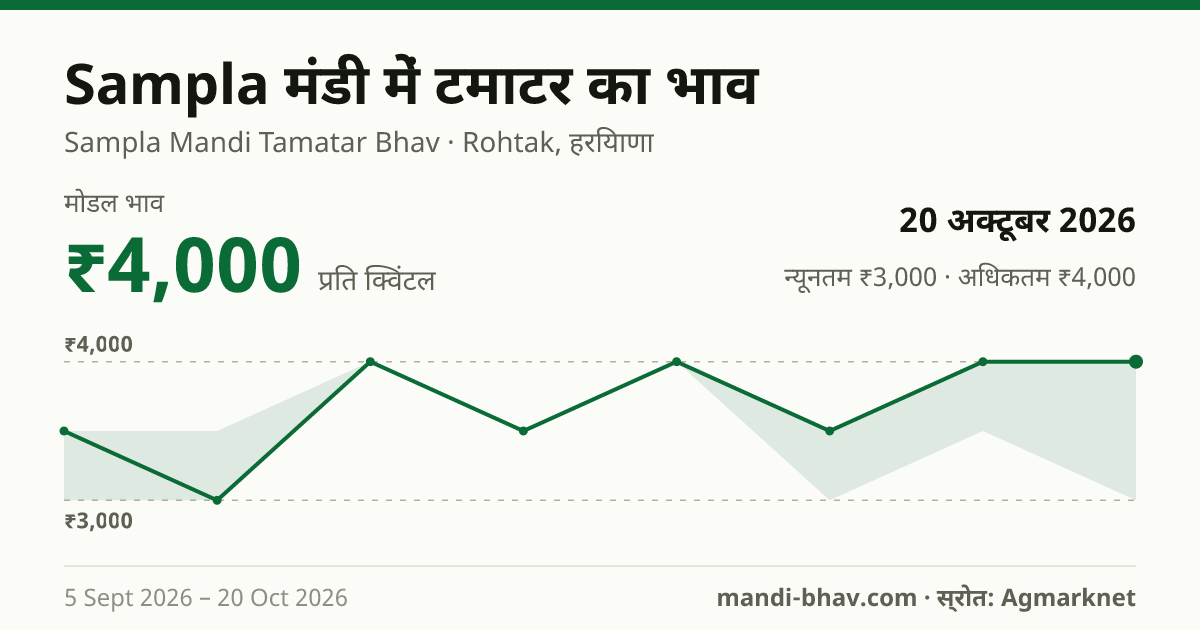 Sampla मंडी में टमाटर का भाव 20 अक्टूबर 2026: मोडल ₹4,000 प्रति क्विंटल, भाव के रुझान का चार्ट