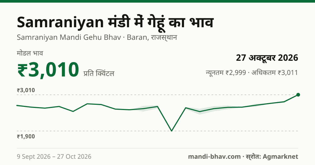 Samraniyan मंडी में गेहूं का भाव 27 अक्टूबर 2026: मोडल ₹3,010 प्रति क्विंटल, भाव के रुझान का चार्ट
