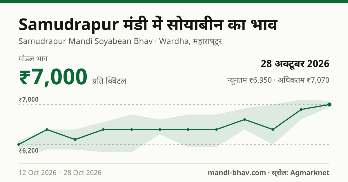 Samudrapur मंडी में सोयाबीन का भाव 28 अक्टूबर 2026: मोडल ₹7,000 प्रति क्विंटल, भाव के रुझान का चार्ट