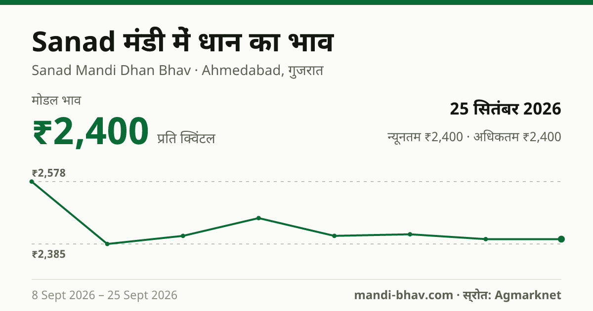 Sanad मंडी में धान का भाव 25 सितंबर 2026: मोडल ₹2,400 प्रति क्विंटल, भाव के रुझान का चार्ट