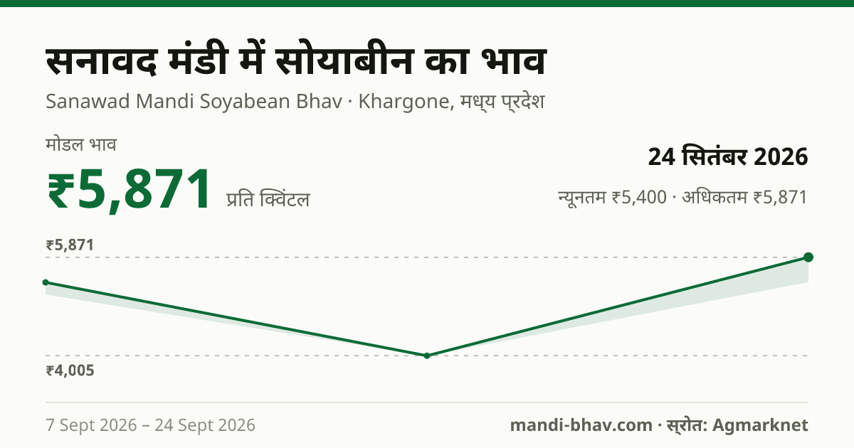 सनावद मंडी में सोयाबीन का भाव 24 सितंबर 2026: मोडल ₹5,871 प्रति क्विंटल, भाव के रुझान का चार्ट