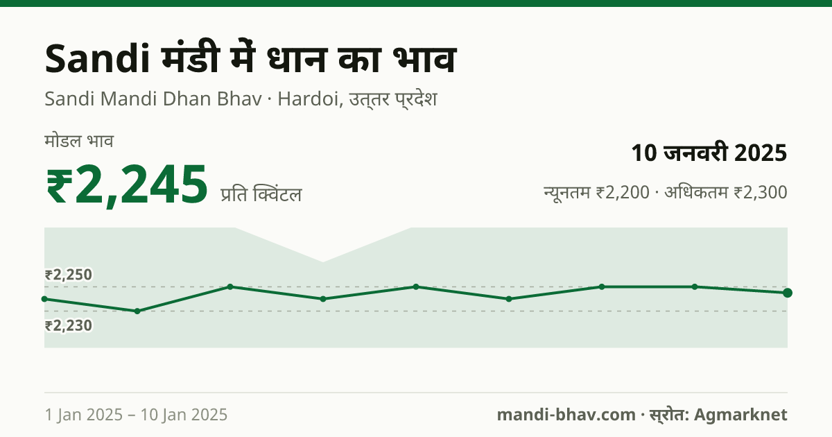Sandi मंडी में धान का भाव 10 जनवरी 2025: मोडल ₹2,245 प्रति क्विंटल, भाव के रुझान का चार्ट