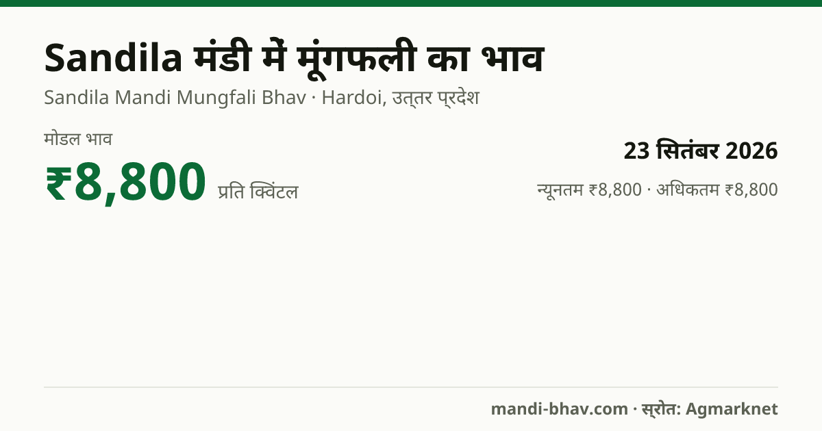 Sandila मंडी में मूंगफली का भाव 23 सितंबर 2026: मोडल ₹8,800 प्रति क्विंटल, भाव के रुझान का चार्ट