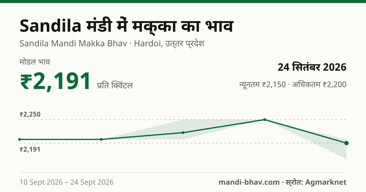 Sandila मंडी में मक्का का भाव 24 सितंबर 2026: मोडल ₹2,191 प्रति क्विंटल, भाव के रुझान का चार्ट