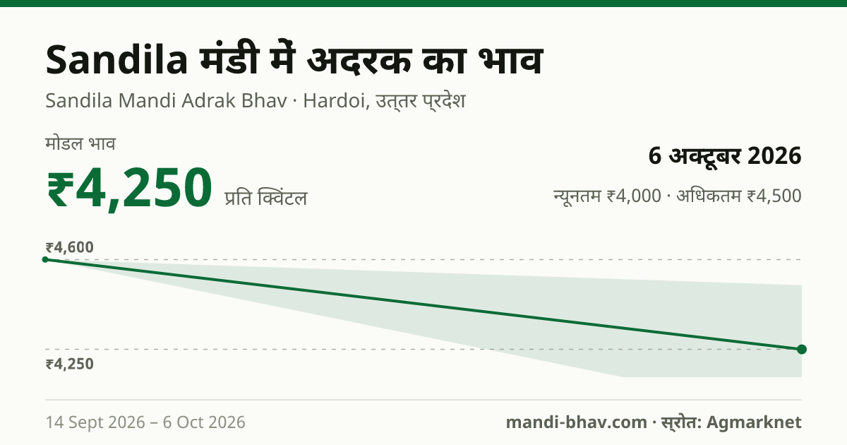 Sandila मंडी में अदरक का भाव 6 अक्टूबर 2026: मोडल ₹4,250 प्रति क्विंटल, भाव के रुझान का चार्ट