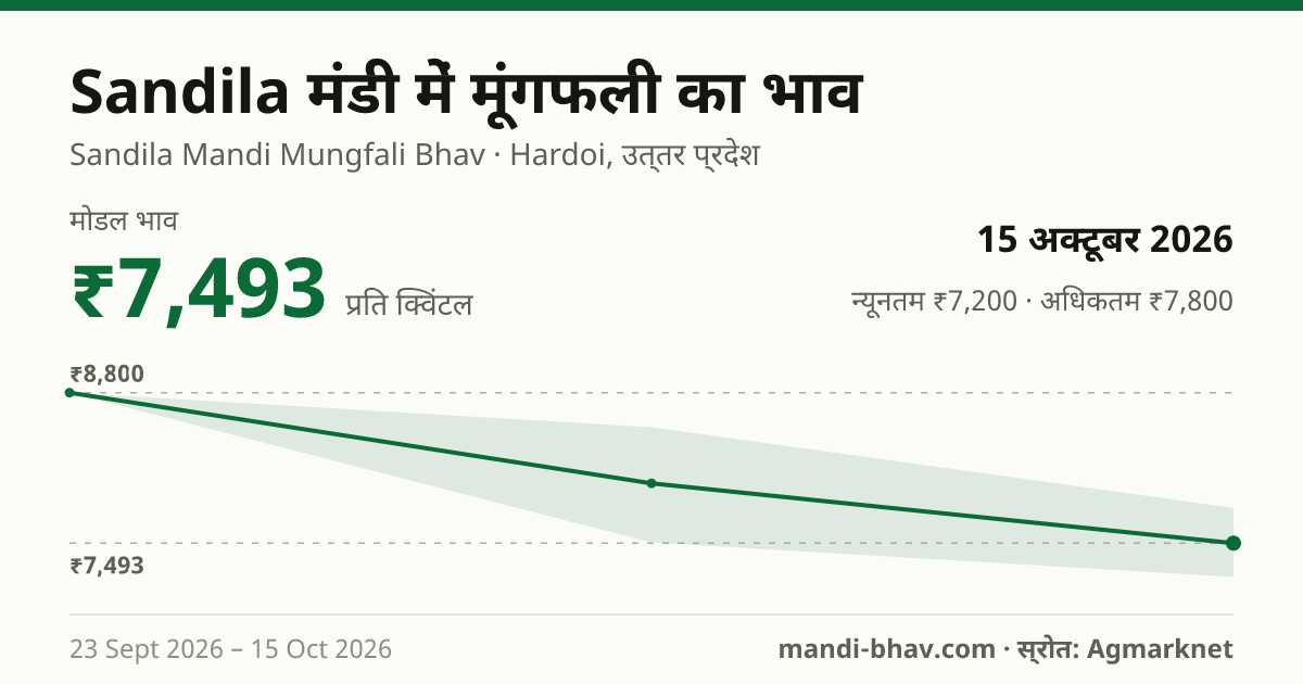 Sandila मंडी में मूंगफली का भाव 15 अक्टूबर 2026: मोडल ₹7,493 प्रति क्विंटल, भाव के रुझान का चार्ट