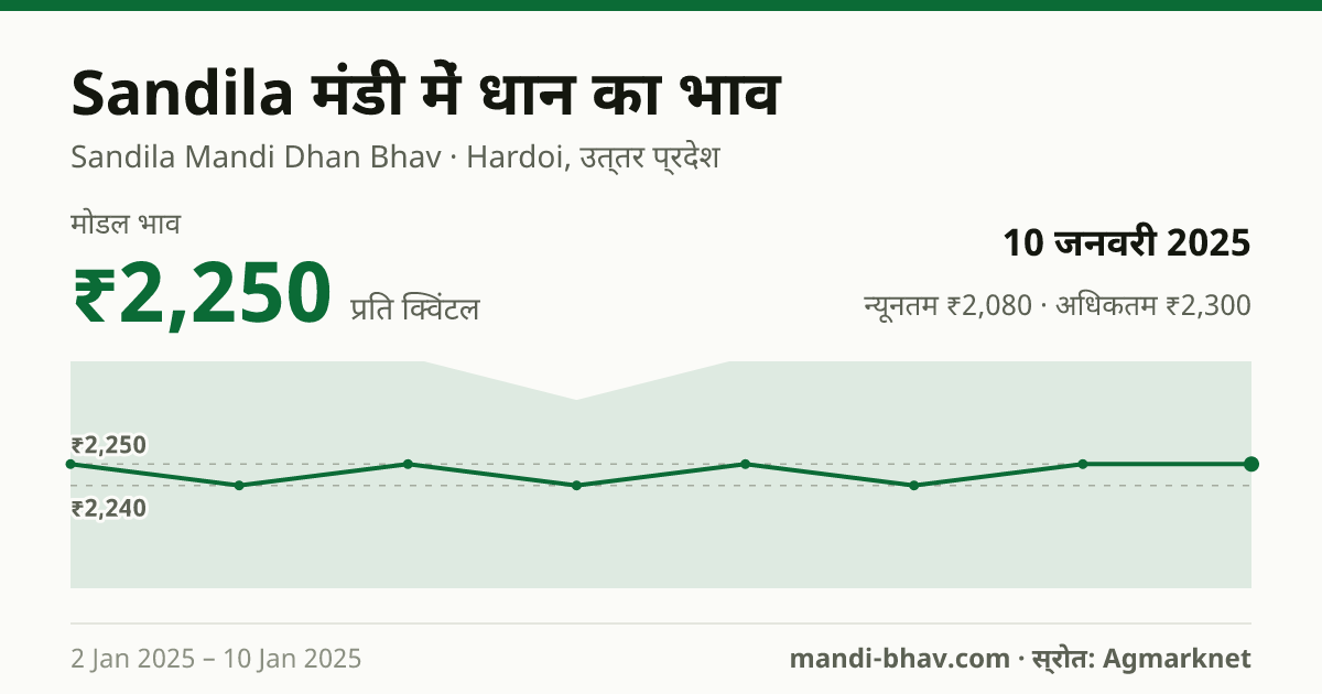 Sandila मंडी में धान का भाव 10 जनवरी 2025: मोडल ₹2,250 प्रति क्विंटल, भाव के रुझान का चार्ट