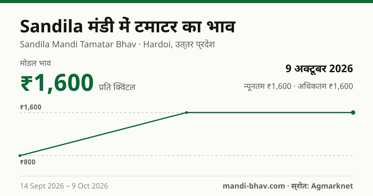 Sandila मंडी में टमाटर का भाव 9 अक्टूबर 2026: मोडल ₹1,600 प्रति क्विंटल, भाव के रुझान का चार्ट