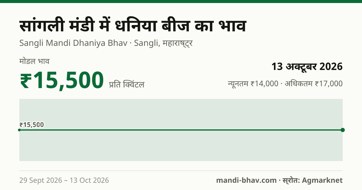 सांगली मंडी में धनिया बीज का भाव 13 अक्टूबर 2026: मोडल ₹15,500 प्रति क्विंटल, भाव के रुझान का चार्ट