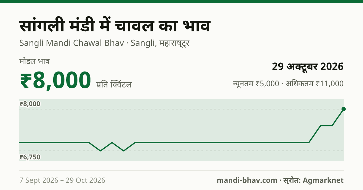 सांगली मंडी में चावल का भाव 29 अक्टूबर 2026: मोडल ₹8,000 प्रति क्विंटल, भाव के रुझान का चार्ट