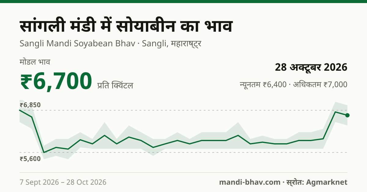 सांगली मंडी में सोयाबीन का भाव 28 अक्टूबर 2026: मोडल ₹6,700 प्रति क्विंटल, भाव के रुझान का चार्ट