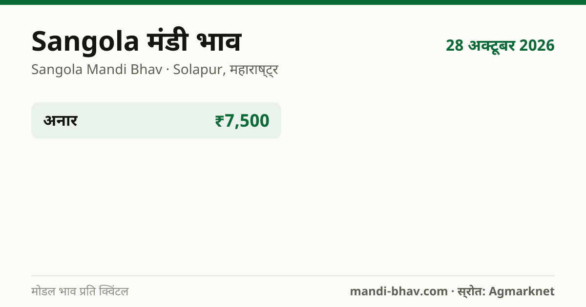 Sangola मंडी भाव 28 अक्टूबर 2026: फसलवार मोडल रेट प्रति क्विंटल