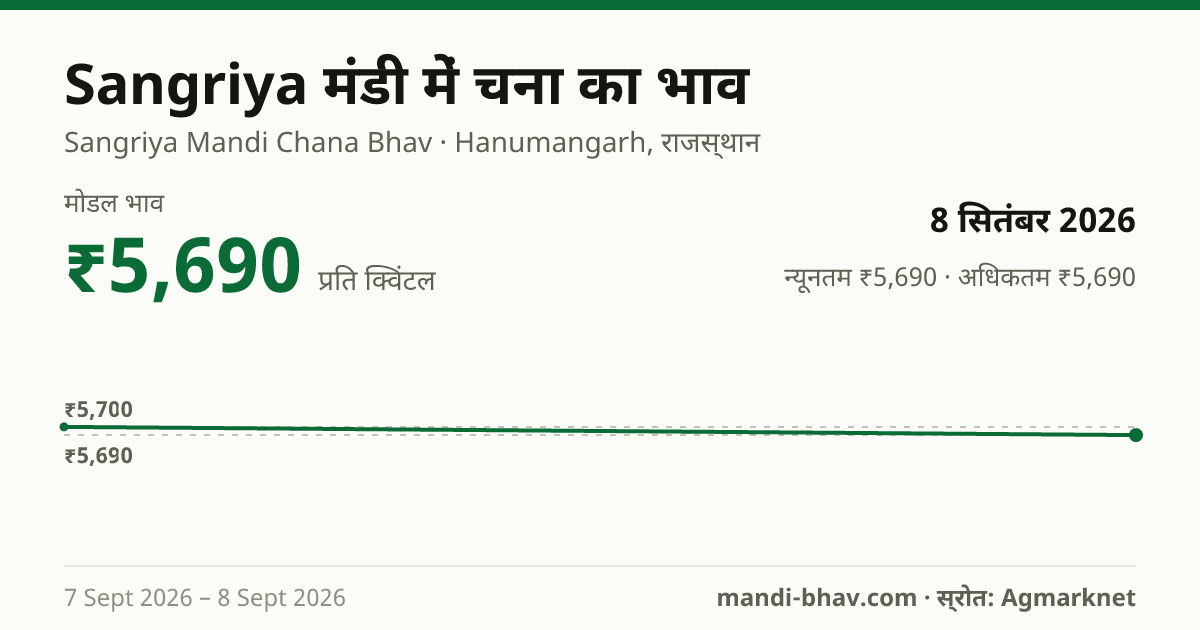 Sangriya मंडी में चना का भाव 8 सितंबर 2026: मोडल ₹5,690 प्रति क्विंटल, भाव के रुझान का चार्ट