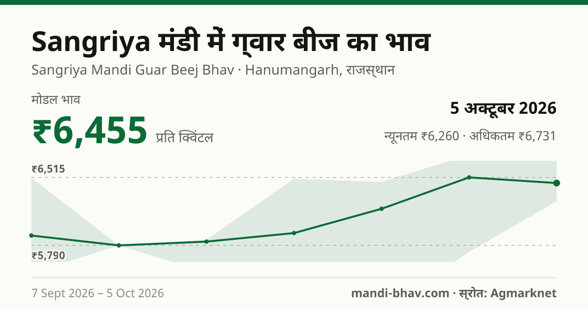 Sangriya मंडी में ग्वार बीज का भाव 5 अक्टूबर 2026: मोडल ₹6,455 प्रति क्विंटल, भाव के रुझान का चार्ट