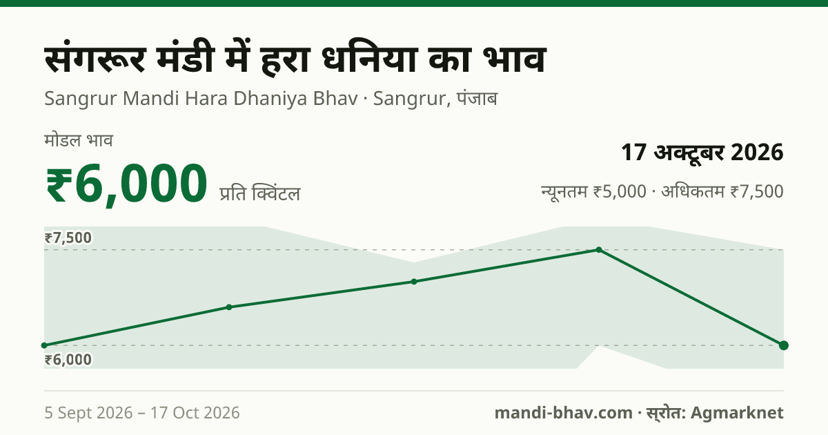 संगरूर मंडी में हरा धनिया का भाव 17 अक्टूबर 2026: मोडल ₹6,000 प्रति क्विंटल, भाव के रुझान का चार्ट